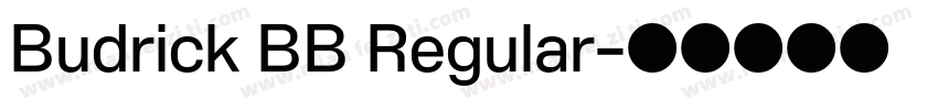 Budrick BB Regular字体转换